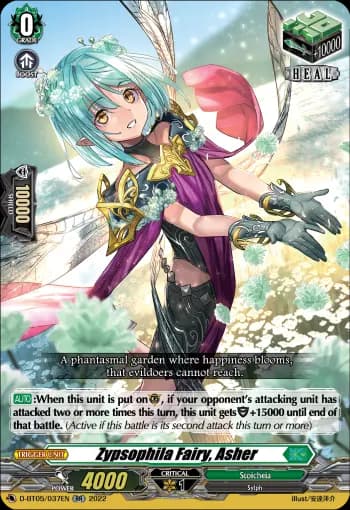 Zypsophila Fairy, Asher