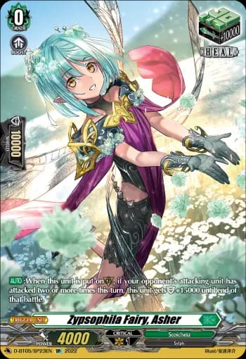 Zypsophila Fairy, Asher