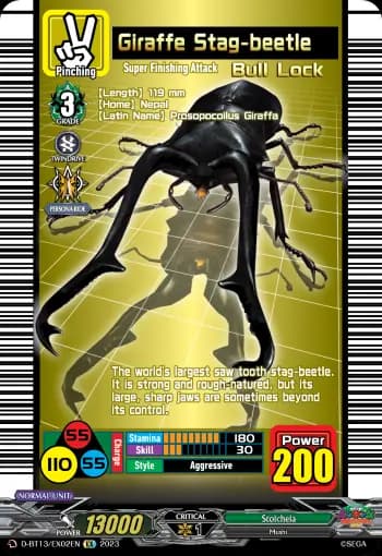 Giraffe Stag-beetle