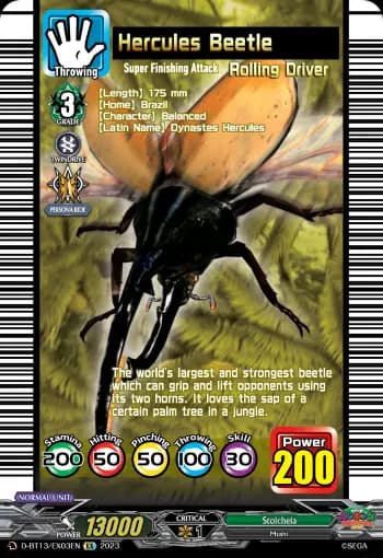 Hercules Beetle