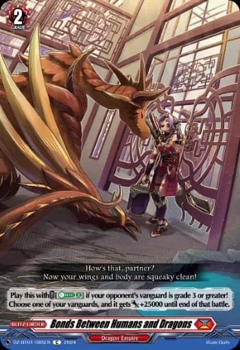 Bonds Between Humans and Dragons