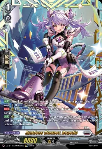 Spatless Cleaner, Regelia