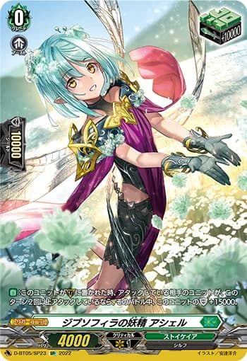 Zypsophila Fairy, Asher