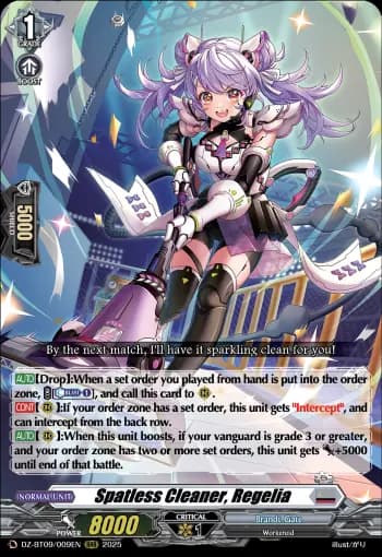 Spatless Cleaner, Regelia