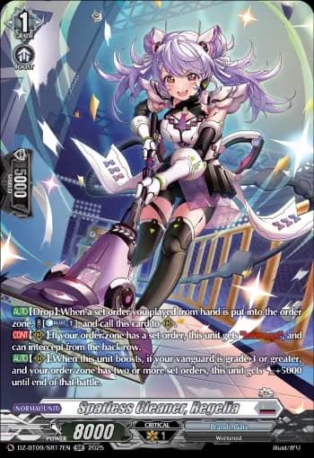 Spatless Cleaner, Regelia