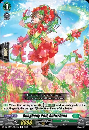 Busybody Pod, Antirrhina