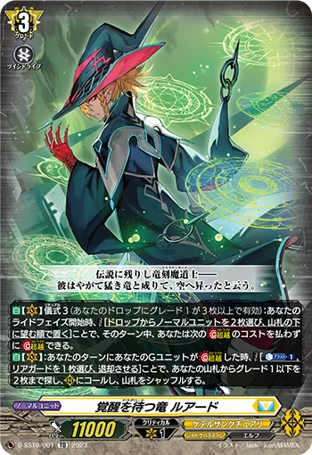 D-SS10/001