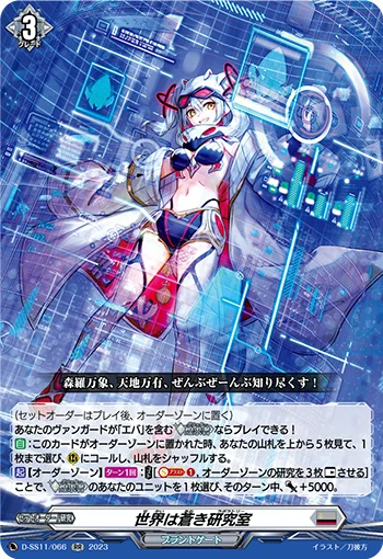 D-SS11/066